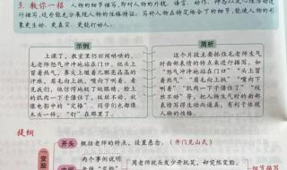 五年级上册单元作文